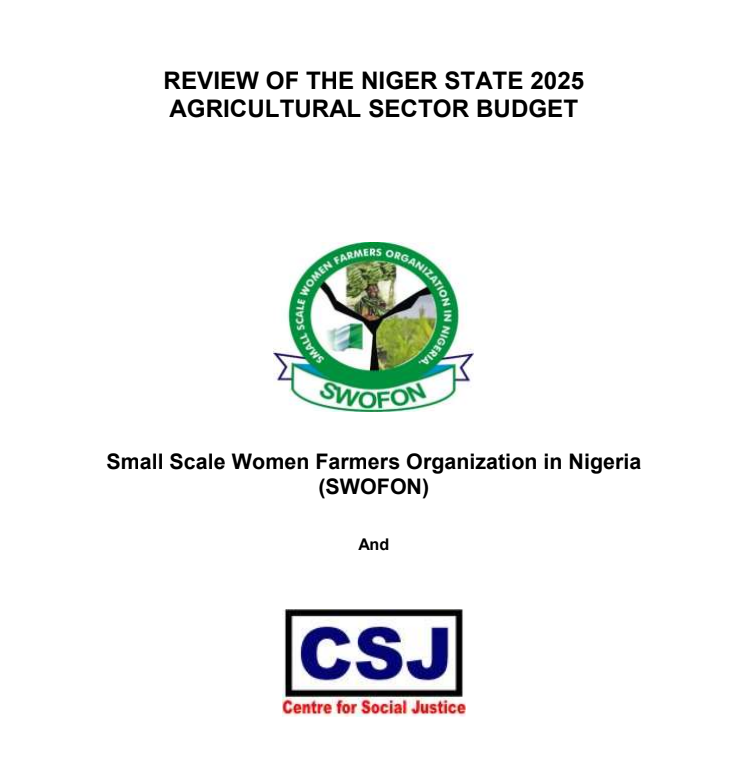 REVIEW OF THE NIGER STATE 2025